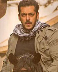 Tiger Zinda Hai